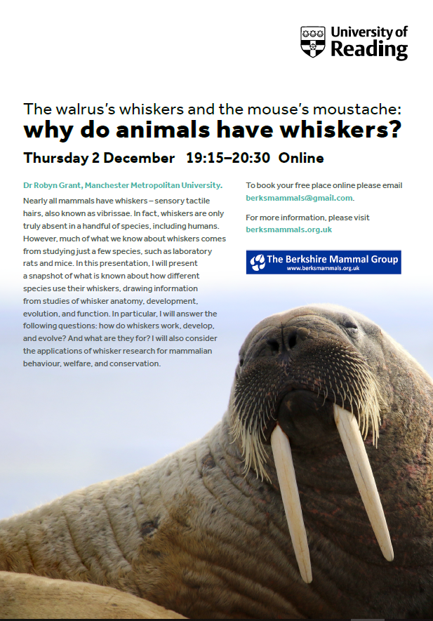 This Thursday, join <a href="/ColeZoology/">Cole Zoology Museum</a> and <a href="/BerksMammals/">Berks Mammal Group</a>
for an online talk on the wild side, as they ask "Why Do Animals Have Whiskers?"

Register for free via whatsonreading.com/venues/cole-mu…