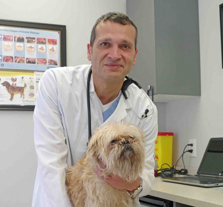 RichHillAH's tweet photo. Are you a new patient looking for an experienced, compassionate #animalHospitalInRichmondHill? Here’s the list of #petCare services we offer. Call us for your first appointment. https://t.co/mEHU1WsKSe https://t.co/E98WgF5qNq