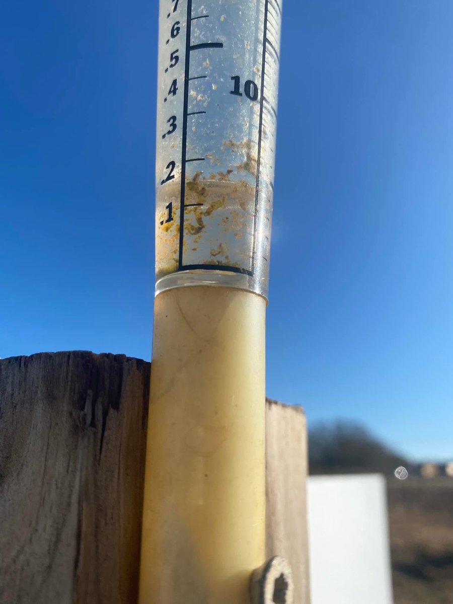 TheBerryPatchNC's tweet photo. It’s not much BUT I will take every drop!
Thank you LORD for the rain last night…
#EllerbeStrong https://t.co/FyrC8ZwKqF