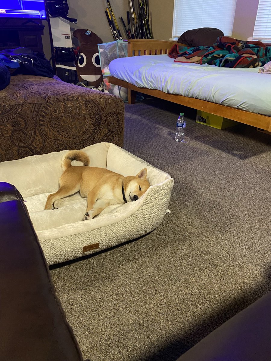 Perry829's tweet photo. Tess …. Does only good everyday! https://t.co/iHyIQ9EwHW