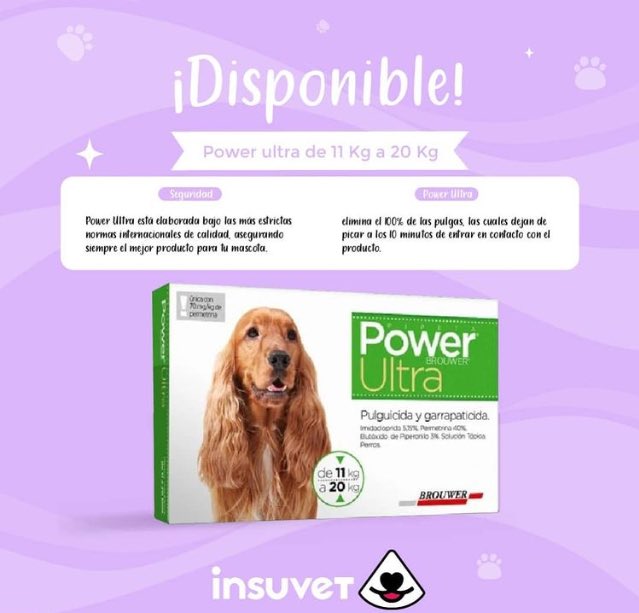 InsuvetAragua's tweet photo. Mantén a tu mascota libre de pulgas y garrapatas con #PowerUltra 

Es una formulación sinergizada pulguicida (adulticida y larvicida) y garrapaticida, para aplicación en perros.❤️🐶

¡Contáctanos! https://t.co/kQSAO1d8Qp