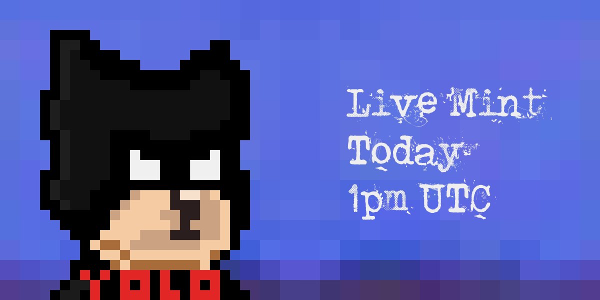 Solana Runts Club (MINT - LIVE) tweet media