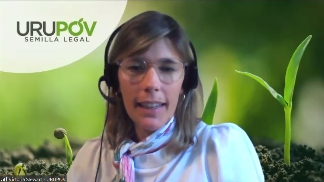 URUPOV_UY's tweet photo. #Ahora: Victoria Stewart, Gerente Operativo de #URUPOV, presentando sobre las acciones que respaldan la propiedad intelectual en vegetales, en el encuentro virtual "Variedades #vegetales: protección y #observancia en #Uruguay". 
#PropiedadIntelectual #SemillaLegal https://t.co/rycWFjxQGY