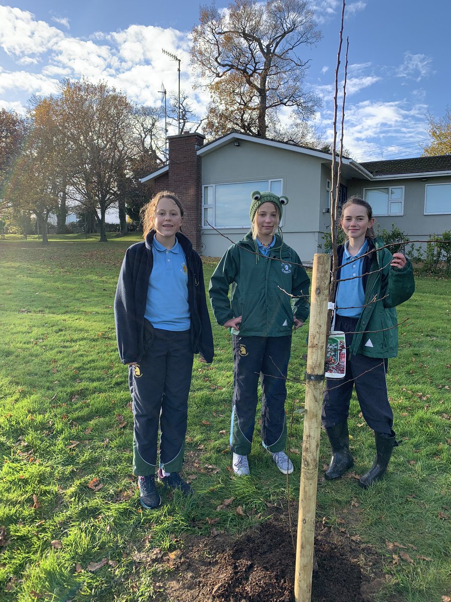 StGS_JSHead's tweet photo. A fantastic afternoon with our Std 5 girls and boys planting 12 trees in the school grounds as part of the “Bugs, Bees and Native Trees” environmental project. Hard work but great fun! https://t.co/Wyngm7eGAb