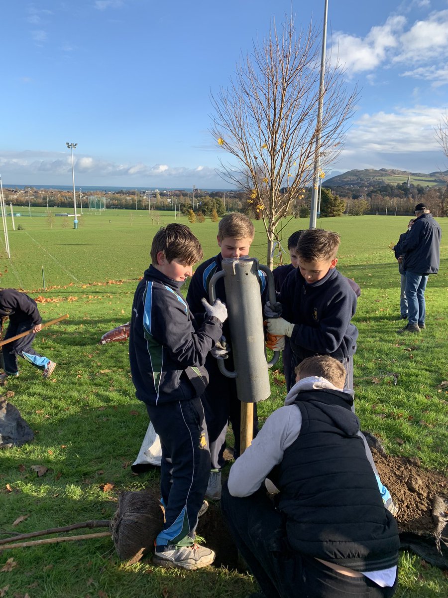 StGS_JSHead's tweet photo. A fantastic afternoon with our Std 5 girls and boys planting 12 trees in the school grounds as part of the “Bugs, Bees and Native Trees” environmental project. Hard work but great fun! https://t.co/Wyngm7eGAb