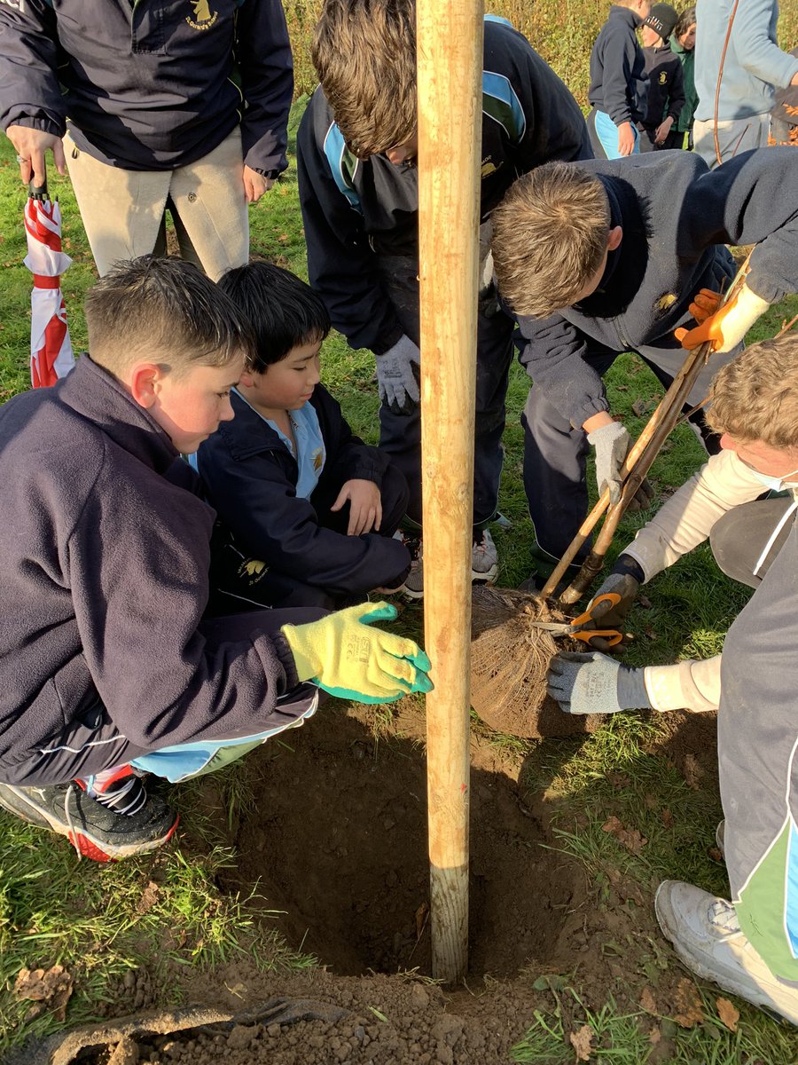 A fantastic afternoon with our Std 5 girls and boys planting 12 trees in the school grounds as part of the “Bugs, Bees and Native Trees” environmental project. Hard work but great fun!