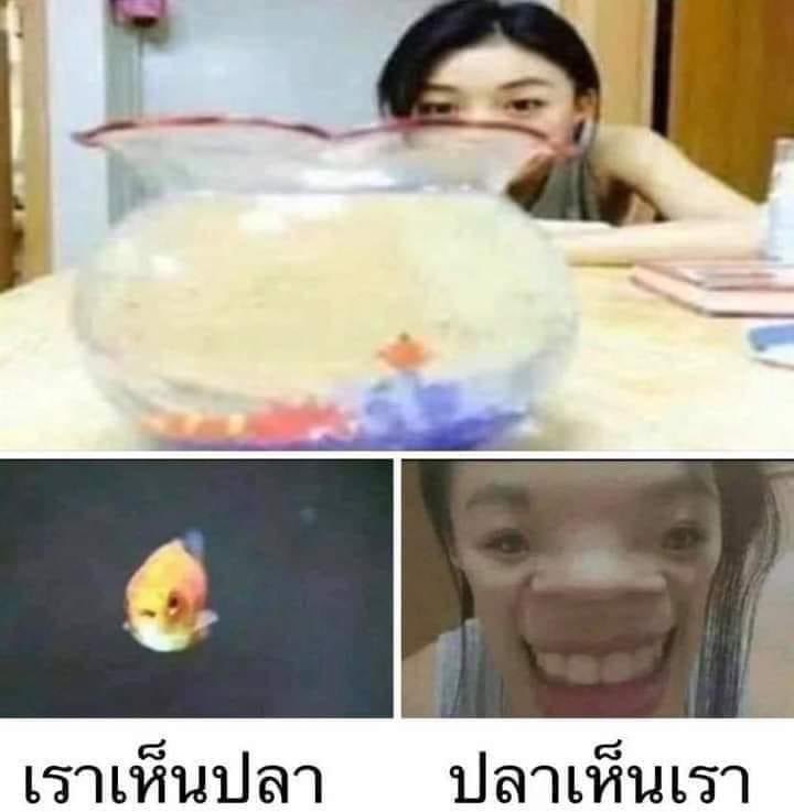 ɢ ᴏ ᴛ tweet media