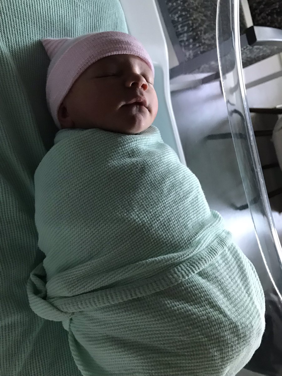 Jordan Hamessley tweet media