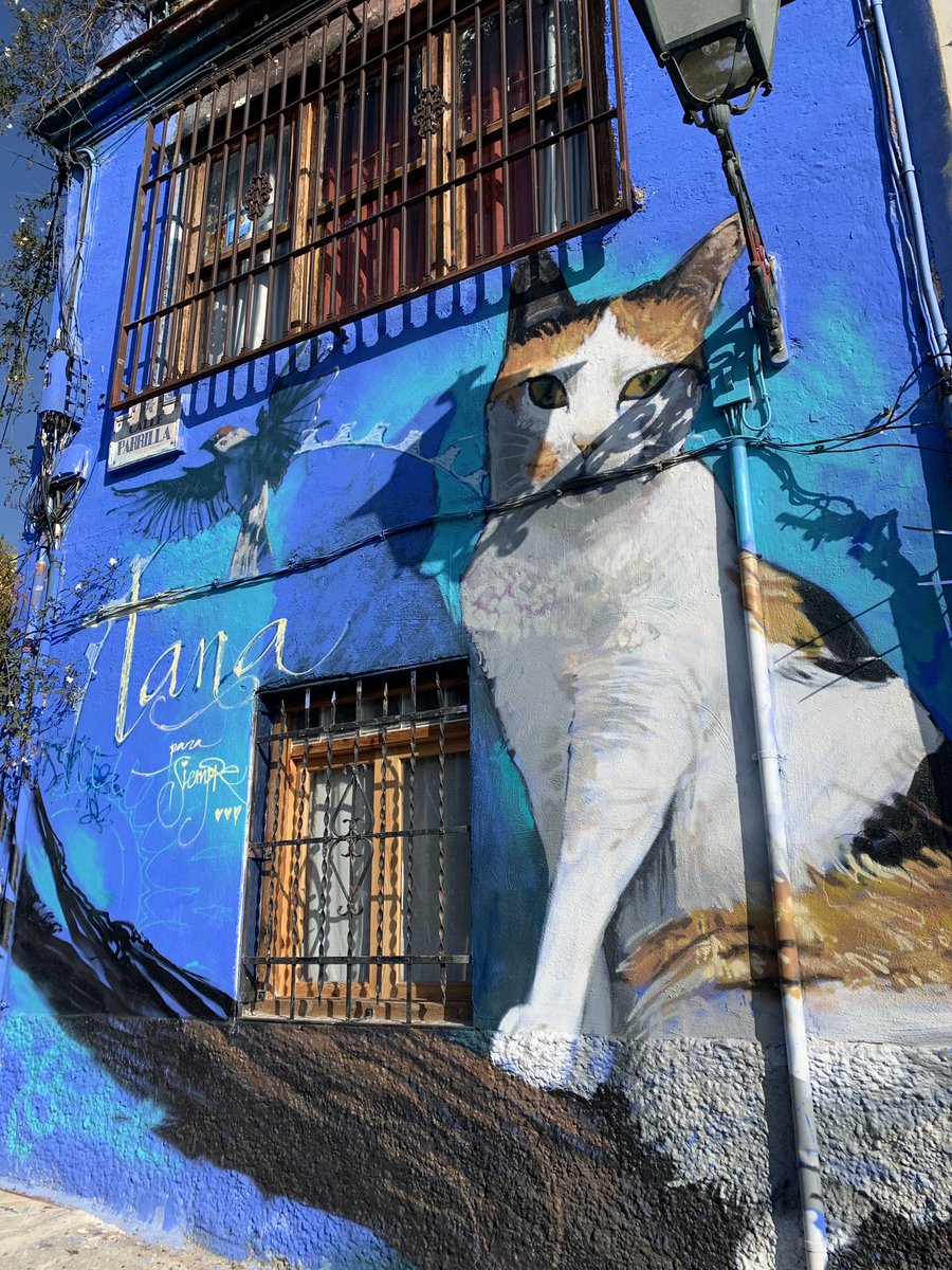 EleniitaHM's tweet photo. Para que luego digan que el arte callejero no es arte. 

Granada y sus encantos ✨❤️‍🔥 https://t.co/TjZCH0iHMf