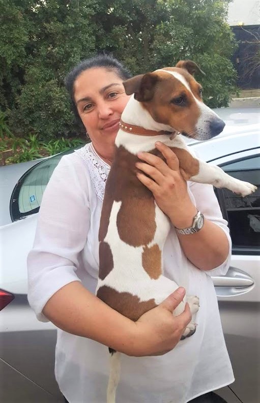 Lego_Lilli's tweet photo. Every time mom &amp; I go for a walk people gasp &amp; grab my face saying “When are you having babies?”
It took me a while to understand what “babies” mean, and NO thank you! Besides, our family is in perfect balance with only me!
#lego #jackrussell #puppies #doglovers #dogsoftwitter https://t.co/MUb5g8yLVv