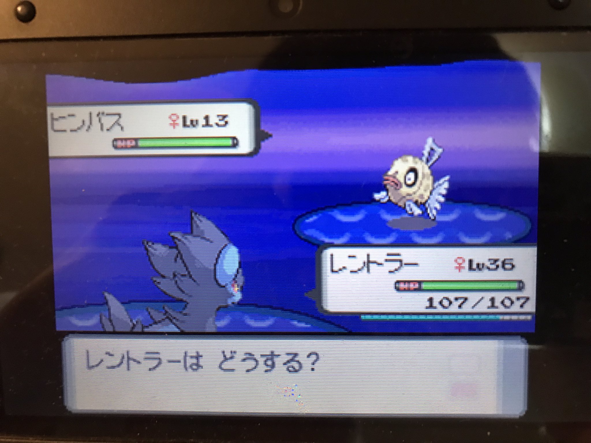 絢爛たる終焉の獣 Oo Twitter