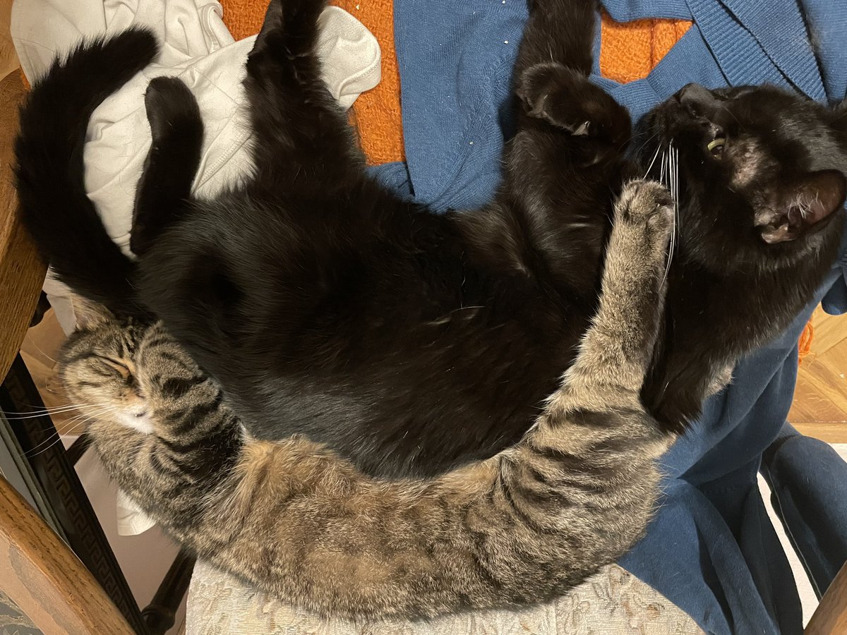 A takhle je to pořád.