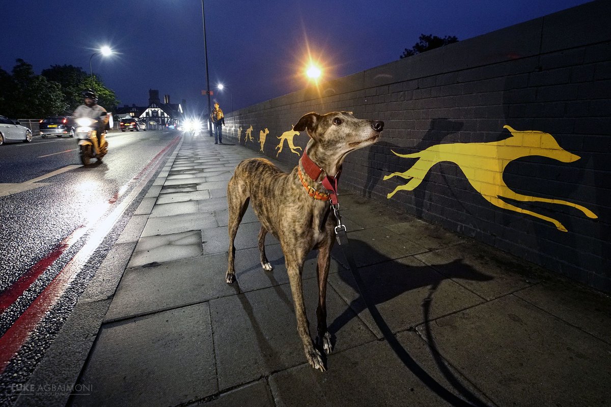 Tube Mapper - Luke Agbaimoni tweet media