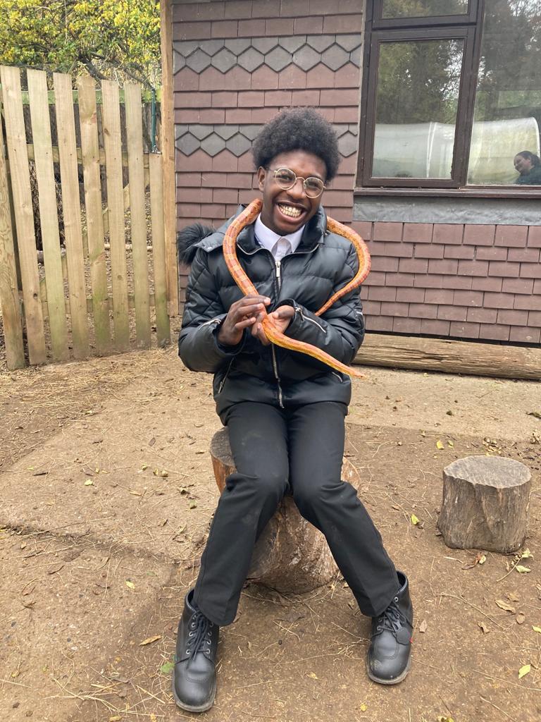 The Write Time tweet media