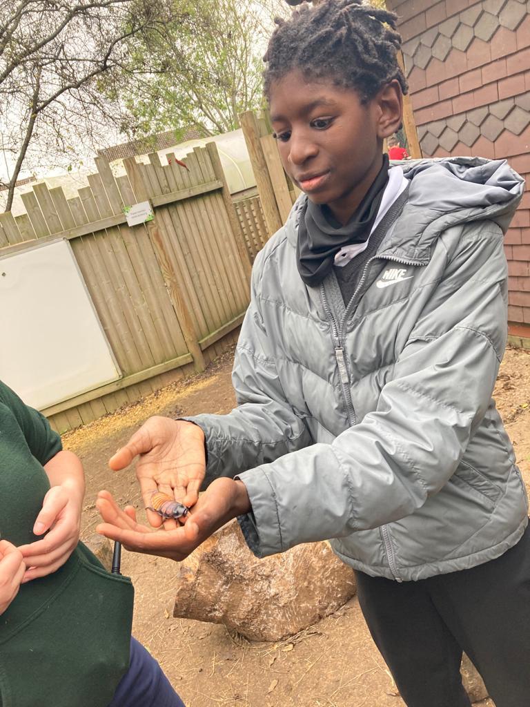 The Write Time tweet media