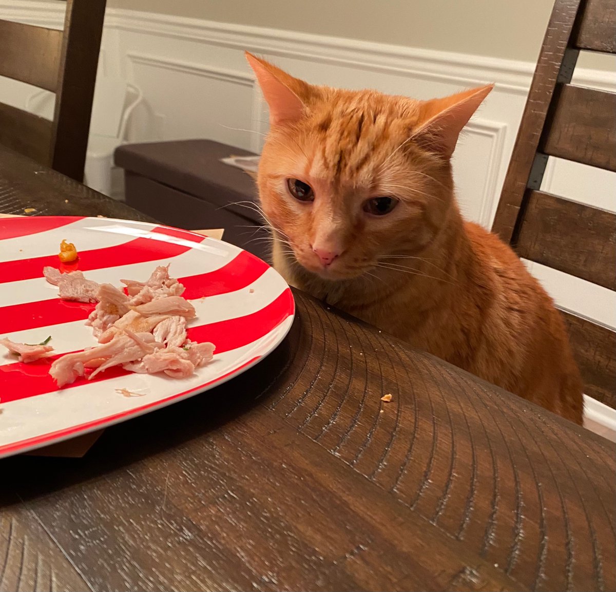 It’s only the day after Thanksgiving but feels like Sunday and dreaming of a #Browns season-changing victory over the dastardly #RavensFlock