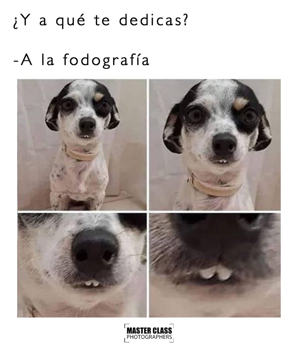 Master Class Photographers tweet media