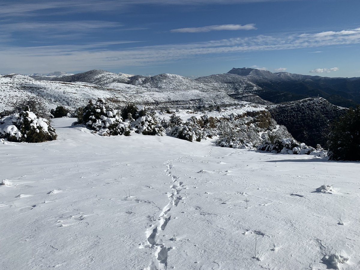 Las cotas altas de #Sobrepuerto lucen sus mejores galas! #huescalamagia