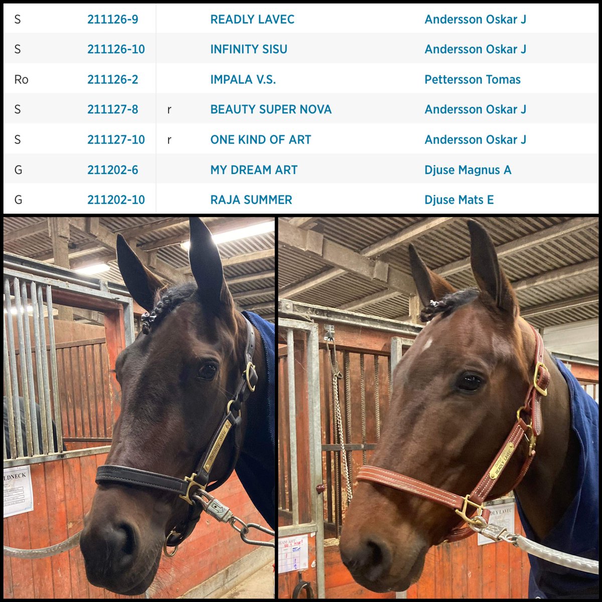 oja_racing's tweet photo. Den här duon är redo för Solvalla! I Solvalla Grand Prix tävlar Readly Lavec om stora pengar och i det avslutande loppet blir det tävlingsdebut för Infinity Sisu. Innan dess startar Impala V.S. på Romme, så ikväll är det tre hästar att hålla tummarna för! https://t.co/gdvwxB26wS https://t.co/y3dQ7p8rnY