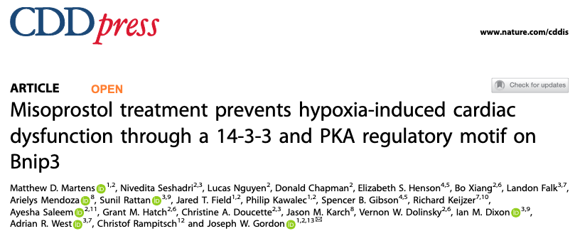 MattDMartens's tweet photo. The final paper from my PhD focused on the prevention of hypoxia-induced cardiac dysfunction through the inhibition of Bnip3 is OUT NOW in Cell Death and Disease (@cddpress)! Check out this open access article here: https://t.co/Ahh3irYzpF https://t.co/HJgQIv9qkx