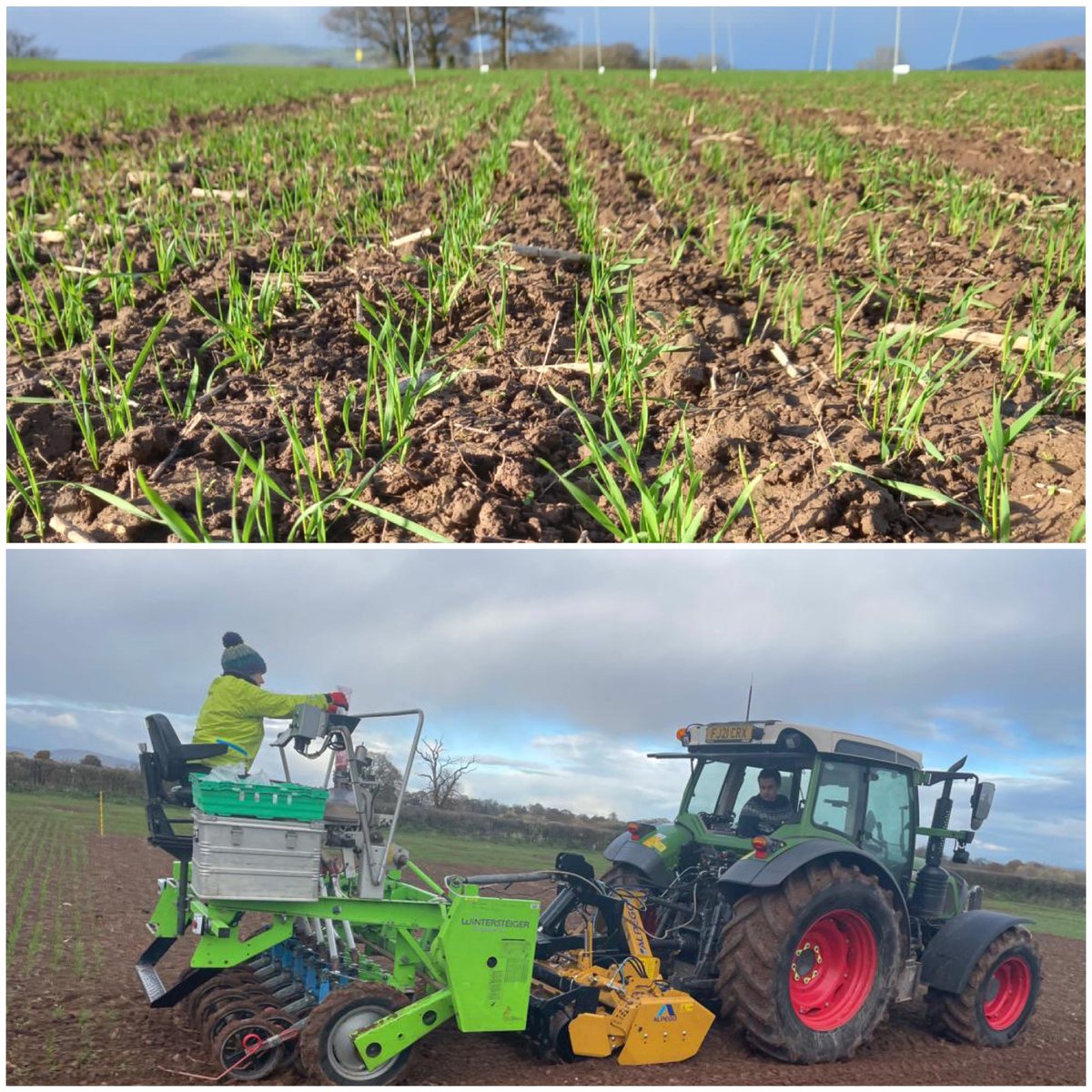 EdmondsMeg's tweet photo. Wrapping up warm to get the second set of plots drilled on this split timing trial. Glad I have a solid collection of bobble hats! And the sun was out of course! We even go to test out the new harrow attachment to our drill #trials #agronomy #coldbuthappy https://t.co/vr0FWBzNeE