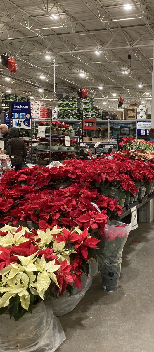 Jenilin Faust tweet media