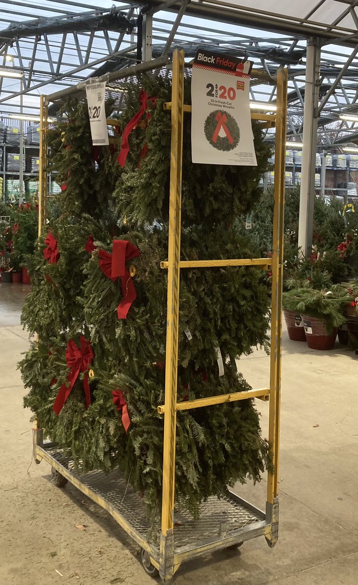 Jenilin Faust tweet media