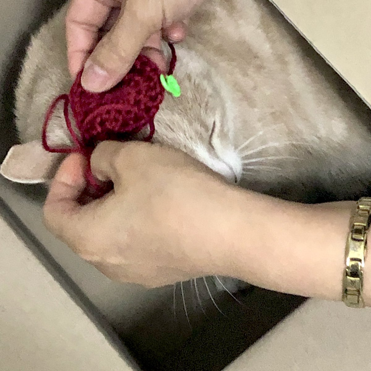 withmypotato's tweet photo. 진짜 크리스마스 기대 하나도 안된다 https://t.co/KRMZ6SlW35