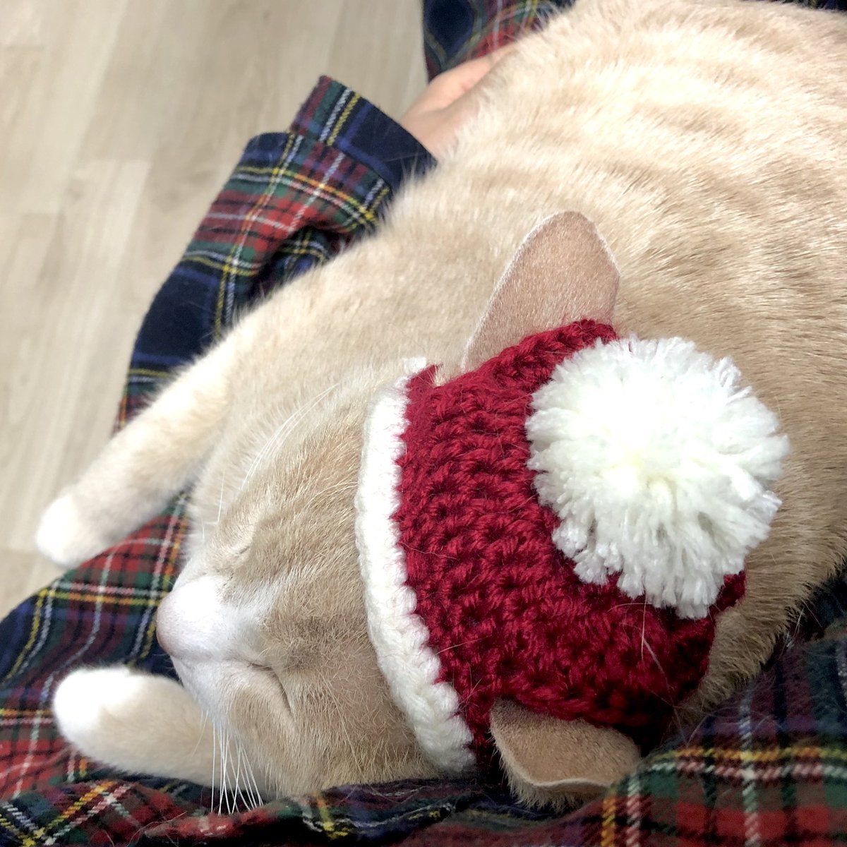 withmypotato's tweet photo. 진짜 크리스마스 기대 하나도 안된다 https://t.co/KRMZ6SlW35