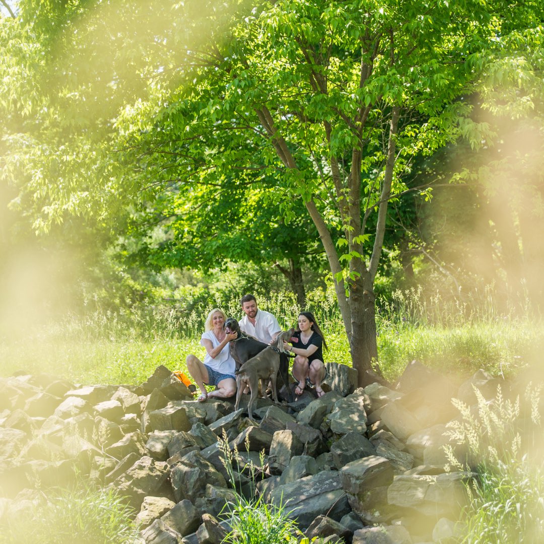 photo_kidd's tweet photo. “It was a pretty powerful moment when I recognized how two dogs have so changed our demeanor because of our life events and how instrumental they’ve become in rebonding a family.” - MaryAnn, Bella &amp; Remy 🐶📷
#puppylove #womansbestfriend #instadog #woof #pawsome https://t.co/9mt235zEMq