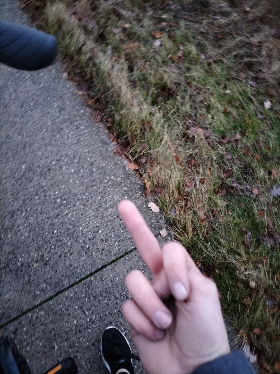 Fahrradweg ist voll der hs, bin wegen dem bastard hingefallen