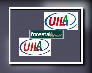 ForestaliNews's tweet photo. False promesse ai lavoratori Forestali. Lunedì sit-in dei Confederali a Palermo https://t.co/t2f6Fxv3dr