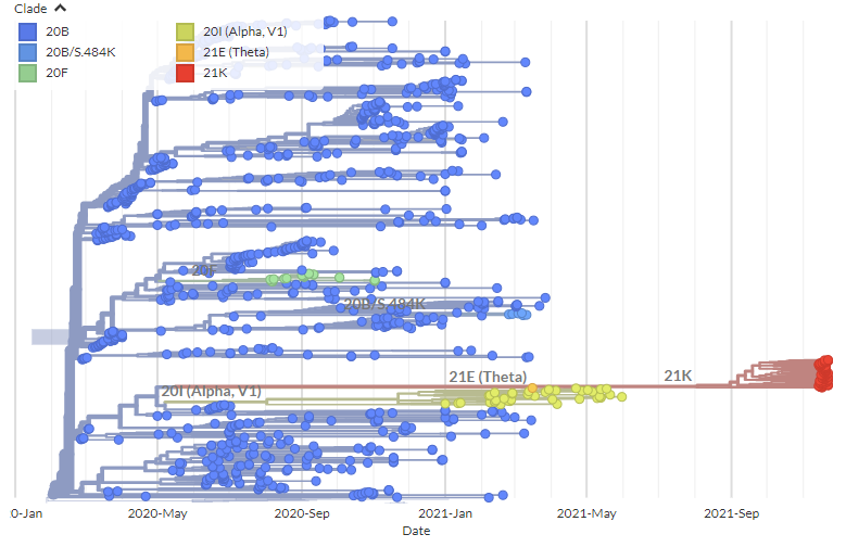 The <a href="/nextstrain/">Nextstrain</a> CoVariants.org focal build for 21K (B.1.1.529) is now live.
nextstrain.org/groups/neherla…

As previously, the long branch leading to 21K is clearly visible, making it hard with current sequences to tell much about the evolutionary history.