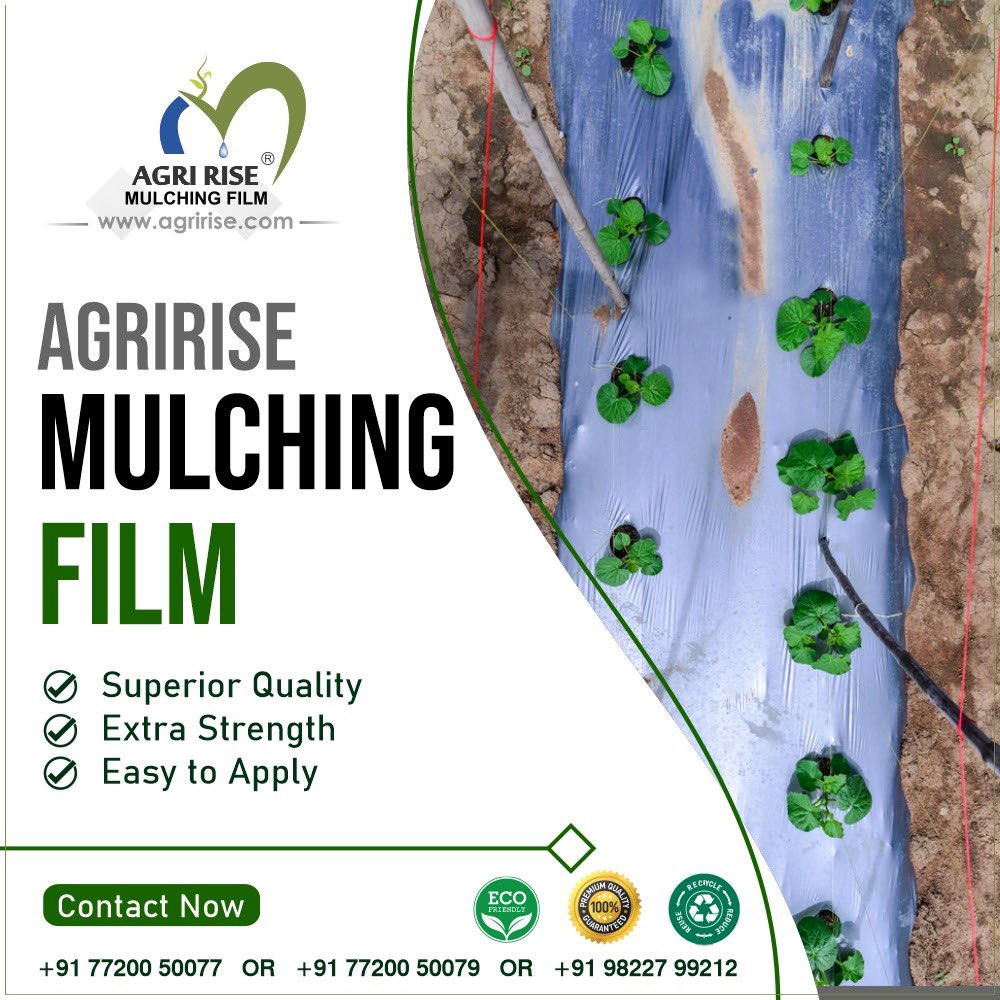 #Agririse #Mulching_Film 👩‍🌾🌾🧻
📌 Superior Quality 
📌 Extra Strength
📌 Easy to Apply

#agriculture #agribusiness #farmers #farming #products #plasticulture #protectivefarming #cropprotection #mulchingfilm #mulchfilm #agriculturalfilms 
#Agririse #Nashik #शेतकरी #बागाईतदार