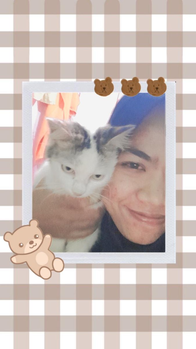 anisyarmd's tweet photo. Muezza teman terbaikku https://t.co/ITV8nBXRmx