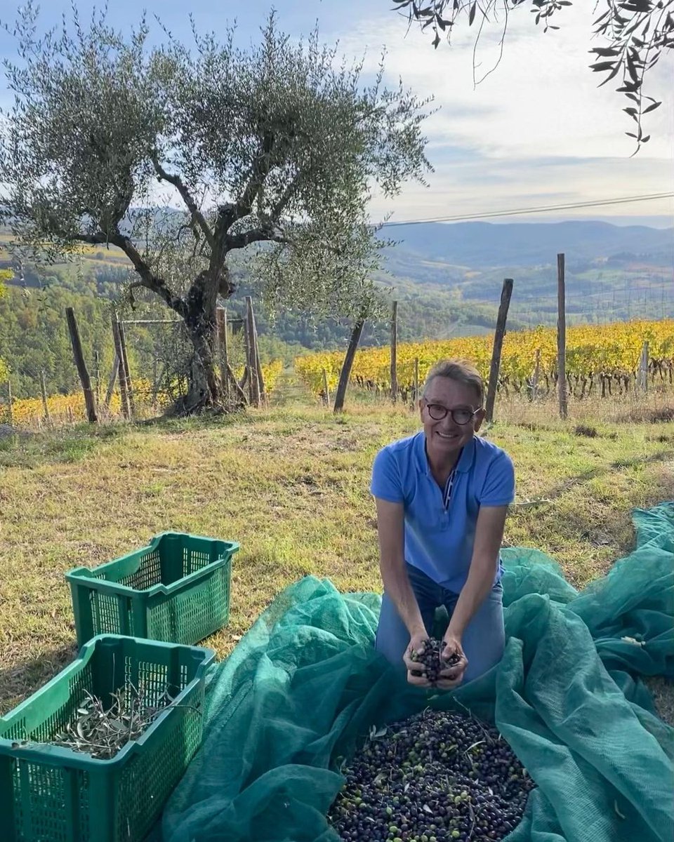 CostSaverTours's tweet photo. Tuscany's lush Chianti hills 🇮🇹 
1 Travel Director and his family 👨‍👩‍👦 
130kg olives! 🫒 ⠀
= 29 litres of Chianti olive oil  🌿🛢

TD @roderickjandegroot is a big fan of UNESCO #WorldOliveTreeDay! 🌳 Taste some olive oil today to mark the global need to preserve our olive trees. https://t.co/Lk0obbleYf