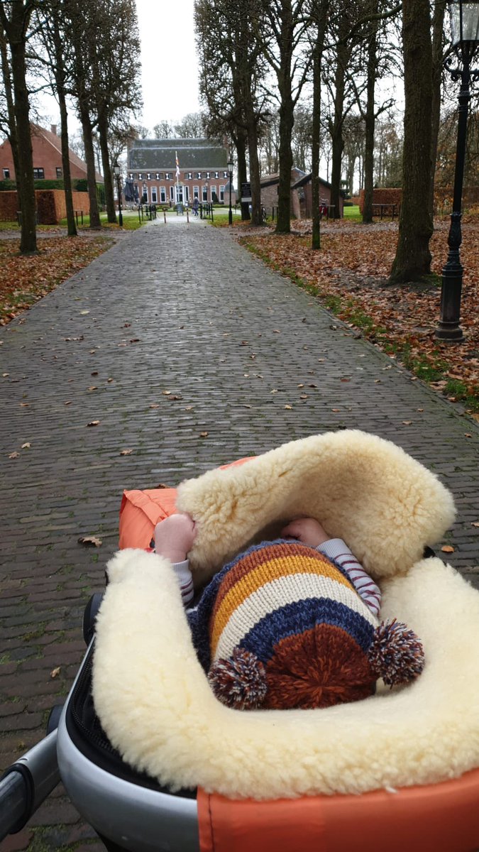 AfienavanZanten's tweet photo. Vanochtend bezoek @menkemaborg van een nieuwe vriend, de 7 maanden oude Finn. De #borgbaas heeft hem even alle ins and outs van het Groninger borgleven meegegeven. Kun je niet vroeg genoeg mee beginnen. 🏰 https://t.co/h8v2TN6GsJ