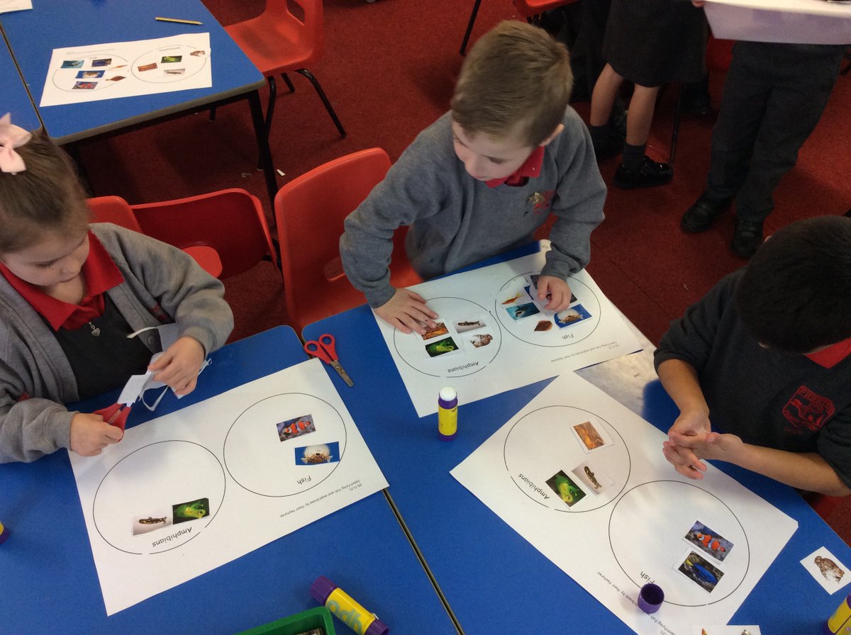 PrentonPrimary's tweet photo. Year 1 have been learning about fish and amphibians.  1E enjoyed discovering lots of new facts. https://t.co/eJx9rgzKZ8