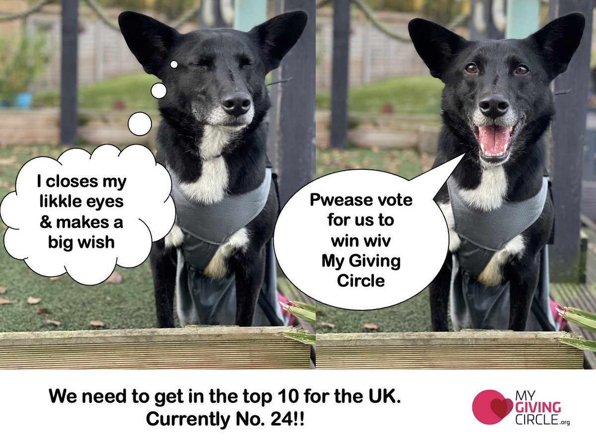 Dogs4Rescue's tweet image. We’re in 24th place but need to get into the top 10 to win £1,000. Please vote for us on @MyGivingCircle 🙏🙏
mygivingcircle.org/dogs-4-rescue-…