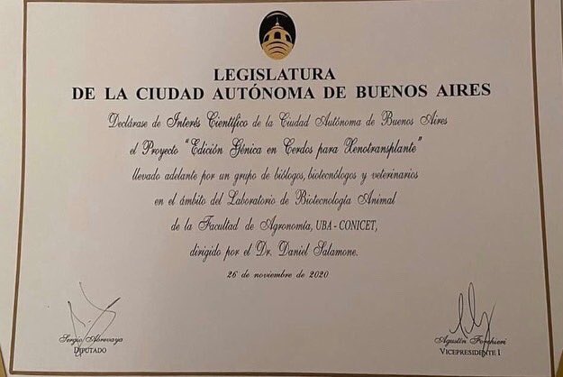 neworgans's tweet photo. Esta semana, la Legislatura de la Ciudad Autónoma de Buenos Aires reconoció al proyecto de edición génica en cerdos para xenotrasplante, del cual participa NewOrgans, como proyecto de Interés Científico de la Ciudad. Muchas gracias a @SergioAbrevaya @LegisCABA https://t.co/PwDRK6Duhd