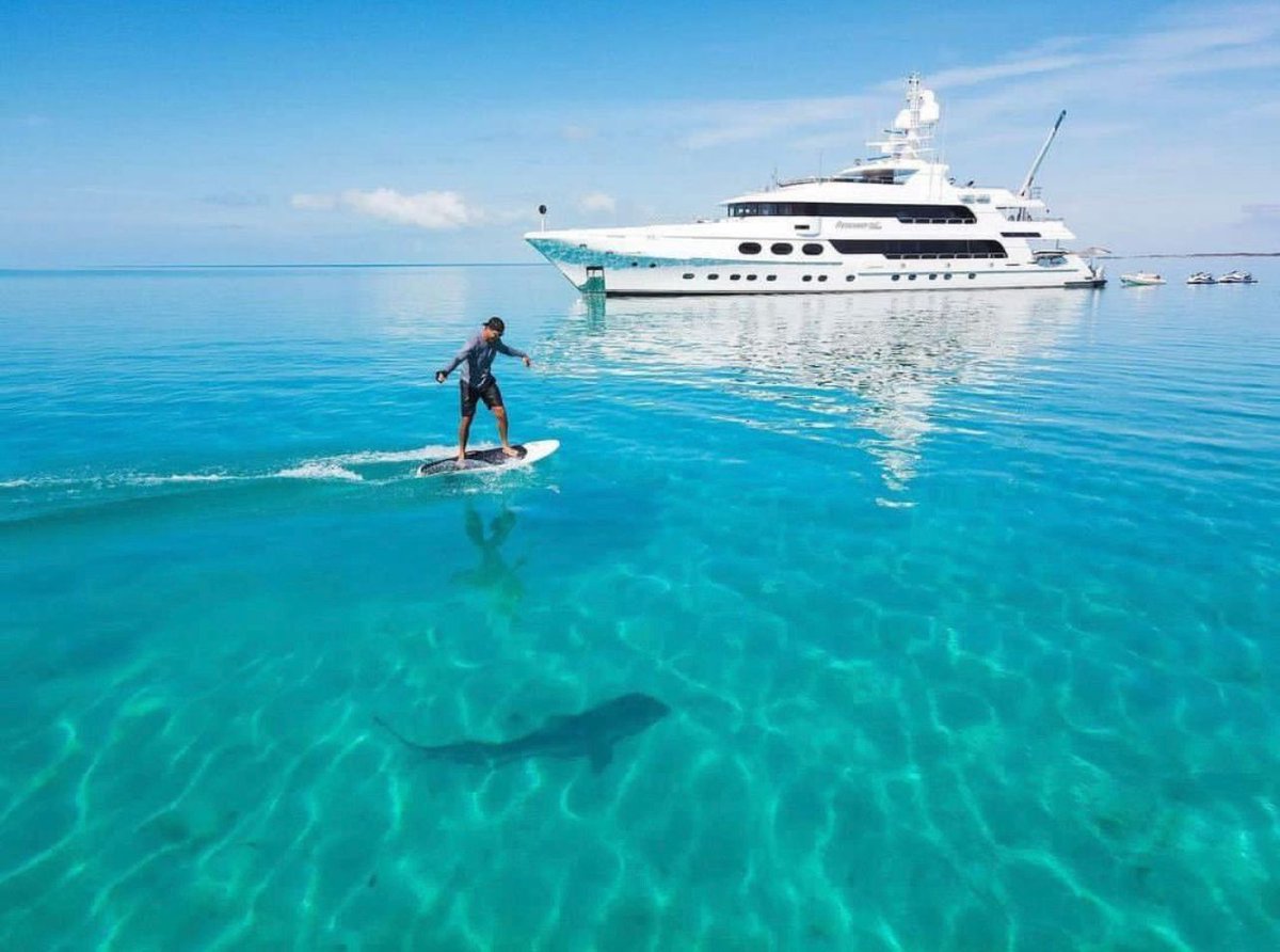 When your surfing buddy has a bigger fin than you do... 🦈👀

📸 MY Remember When

#GlobalSuperyachtMarketing #yachting #yachtlifestyle #shark #surf #surflife #yachtcrew
