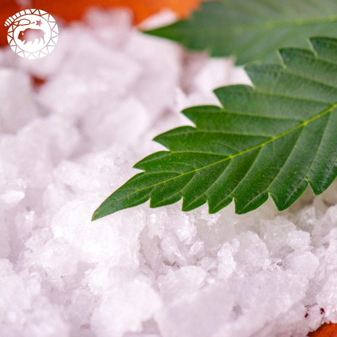 High Grade Hemp Seed tweet media