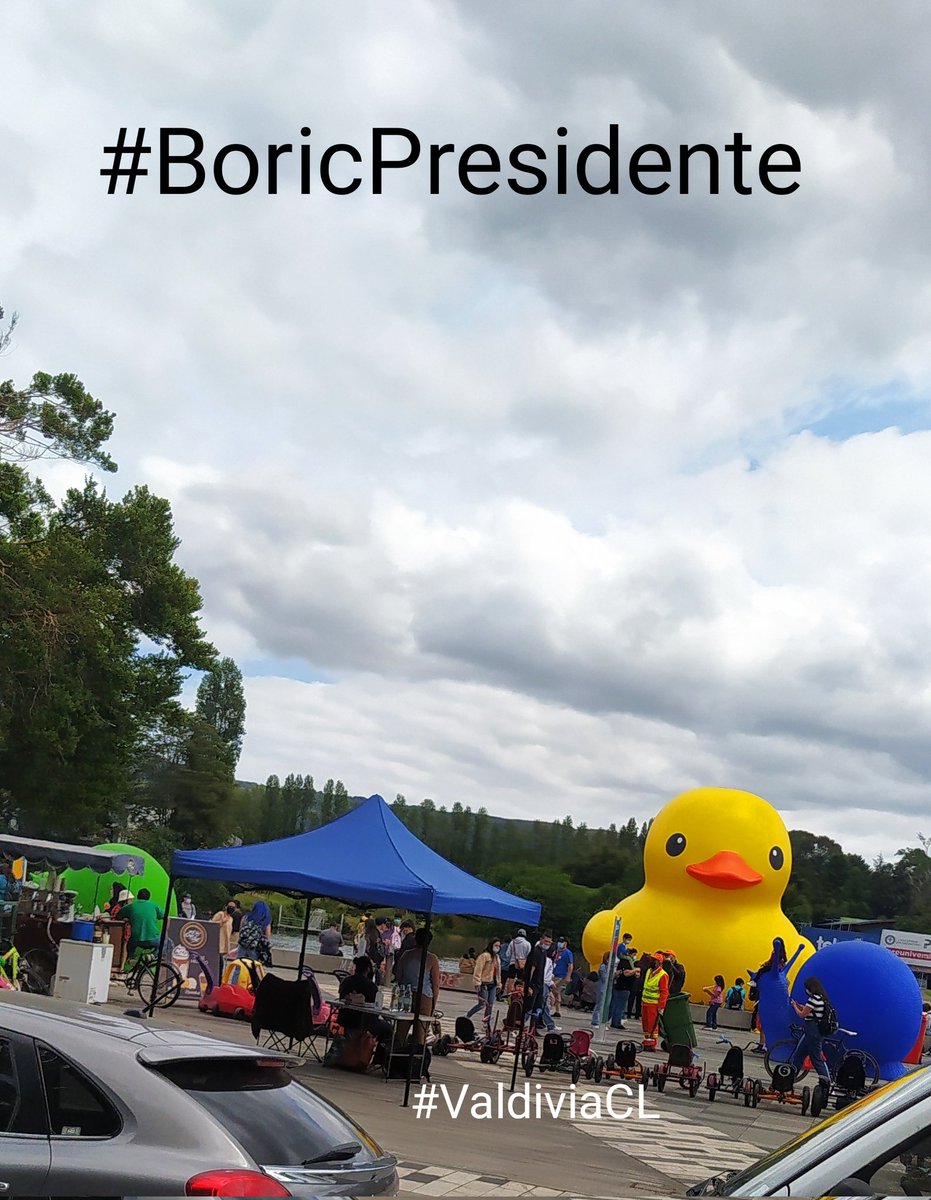 patobancoestafo's tweet photo. #MiAmigoBoric
#BoricPresidente
#PatoDeHule
#PatitoDeHule
#ValdiviaCL https://t.co/X8A62Ku8lE