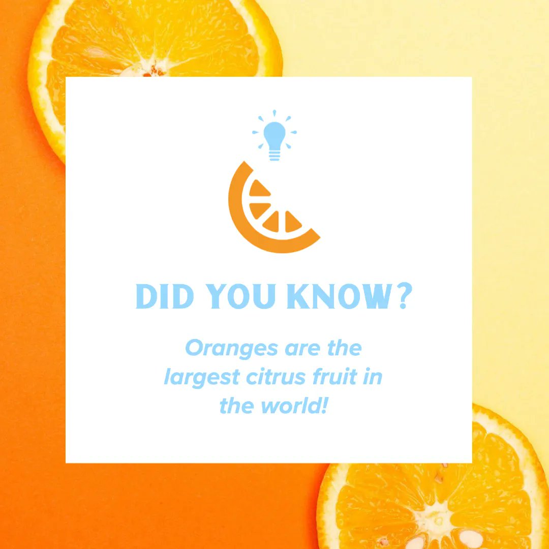 iStudyOleMiss's tweet photo. Happy #FunFactFriday! Did you know this? https://t.co/rwTihmkswM