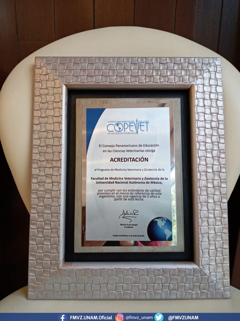 FMVZUNAM's tweet photo. #Entérate | En el marco del #Panvet2021 la #FMVZ recibió la acreditación del Consejo Panamericano de Educación en las Ciencias Veterinarias, por el cumplimiento de estándares de calidad. #OrgulloFMVZ https://t.co/JFwti8SrNC