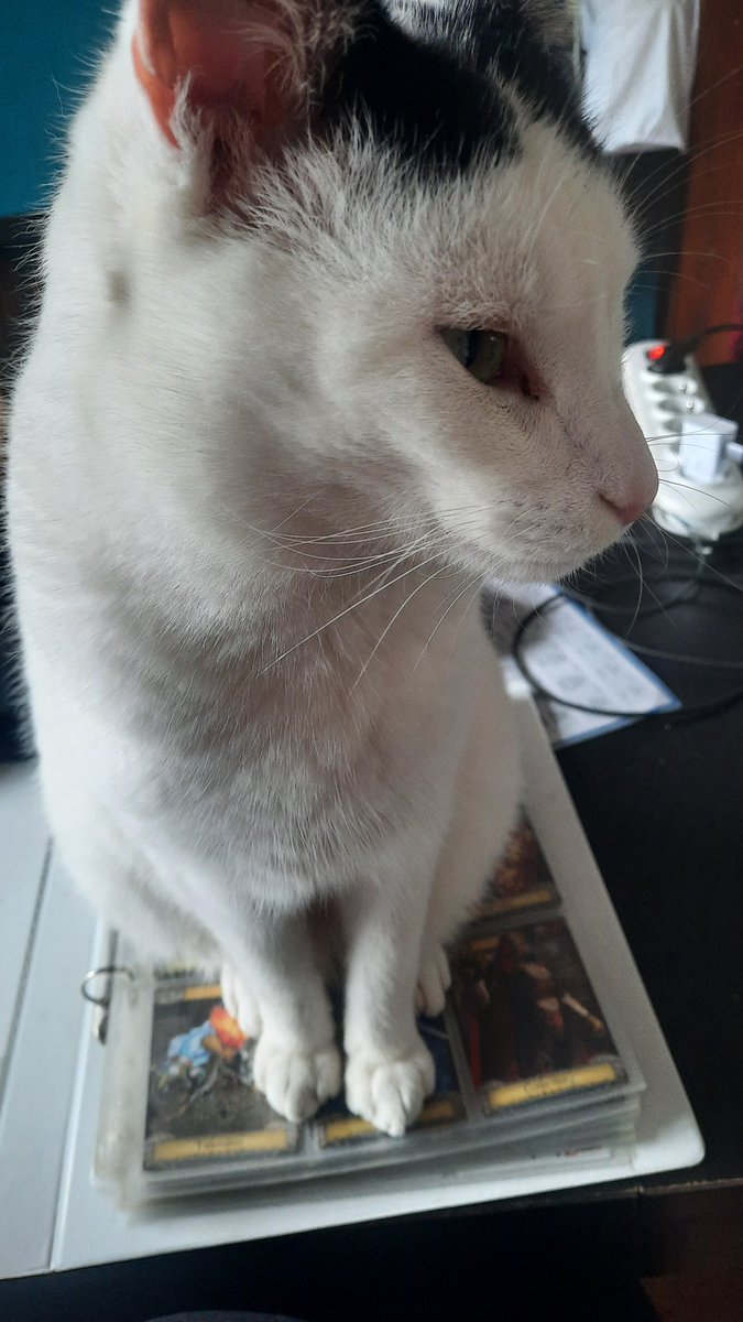 PluisjePanda's tweet photo. Ja, knuffelpauze! https://t.co/xfh65rnfZ9
