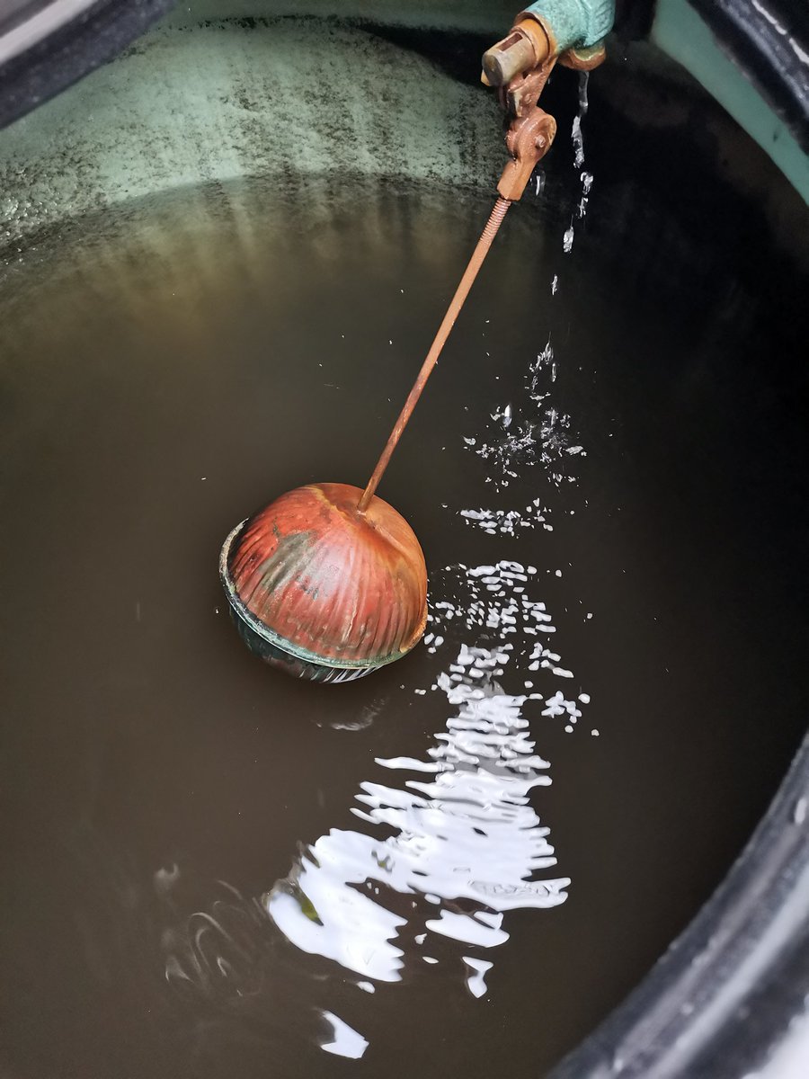 VeroTorillo's tweet image. @evelyn_parraA Alcaldesa, desde inicios de octubre tenemos problemas con la cantidad y calidad del agua, en la colonia aeronáutica militar, en su alcaldía. Ya presentamos problemas de salud por está situación, se viola mi derecho constitucional a tener salud. Urge solución