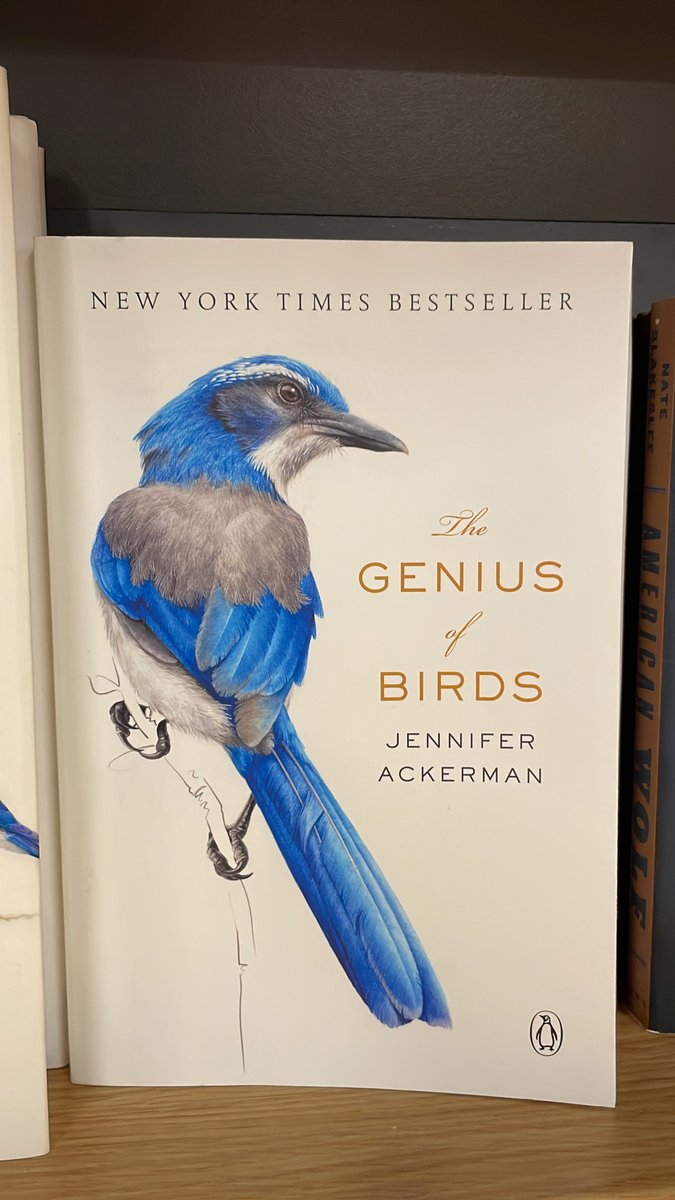 Tequila Mockingbird tweet media