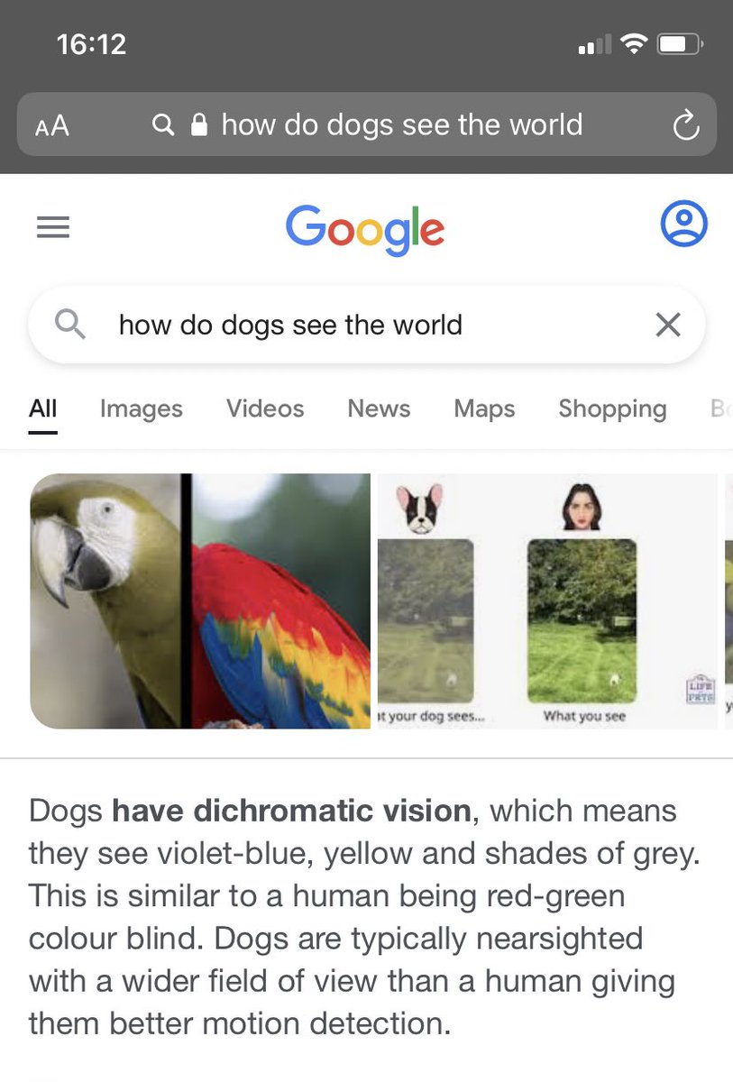 AlexEdPsych's tweet image. How’s thesis writing going?…#ADayInTheLifeOfATep