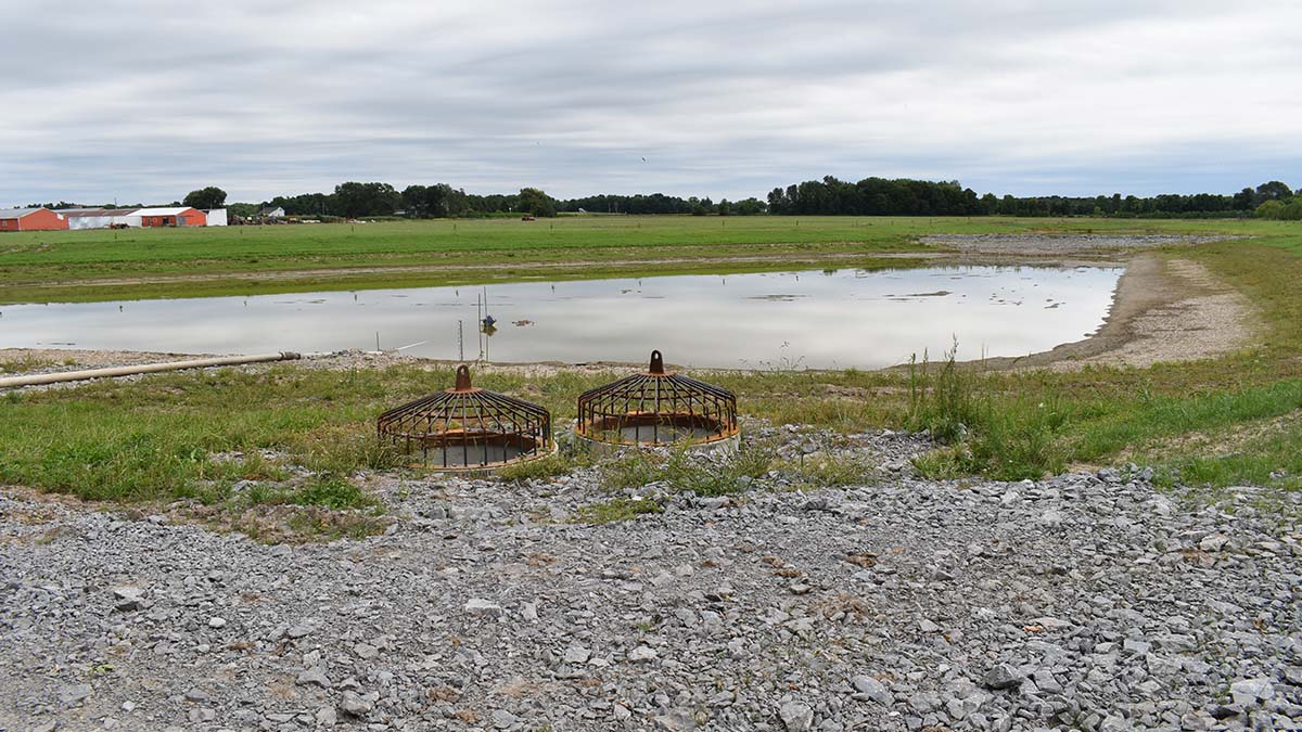 LSRCA's tweet photo. We applauded the efforts of Goodyear Farms & recognized them with a Healthy Water Award 🏆 today. They implemented best management practices to reduce the amount of sediment & agricultural runoff flowing into Lake Simcoe. True #WatershedHeroes
#Consies #SavingLakeSimcoe https://t.co/DPTkFxuwXT